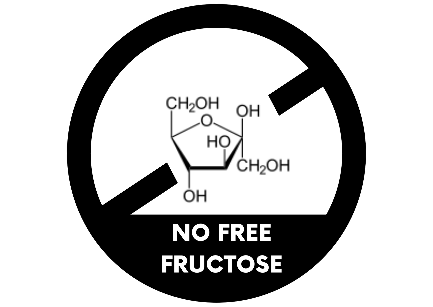 NO FRUCTOSE